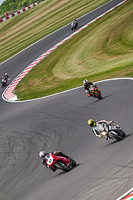 donington-no-limits-trackday;donington-park-photographs;donington-trackday-photographs;no-limits-trackdays;peter-wileman-photography;trackday-digital-images;trackday-photos